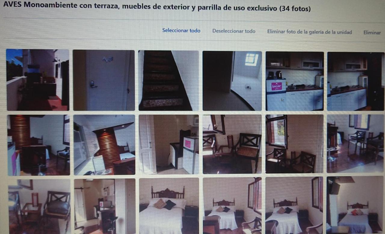 534 Petit San Telmo - Studio&Suites Buenos Aires Esterno foto